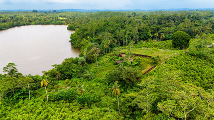 Lush green landscape by the river in Sri Lanka. A serene view of greenery surrounding a tranquil...