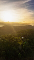 Sunset view over lush hills in Sri Lanka. The sun sets behind the hills of Sri Lanka, illuminating the landscape with golden hues, showcasing the natural beauty and serenity.