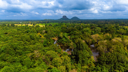 Fototapeta premium Sri Lanka's lush landscape under clouds. A stunning view of verdant forests and distant mountains in Sri Lanka, showcasing the rich natural beauty of the region.