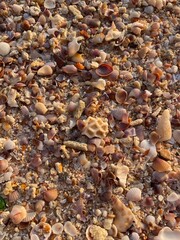 pebbles on the beach