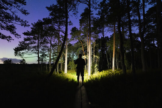 Silhouette of a man with a flashlight in the forest through the Seli swamp at night during the northern lights and starry sky.