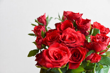 Fototapeta premium 赤い薔薇