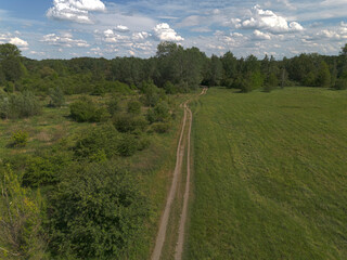 Country road going through a meadow with green grass and trees. View from above. Poland
