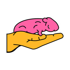 hamster pet hand line icon vector. hamster pet hand sign. isolated symbol illustration