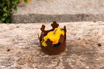 Obraz premium Ingathering.Pumpkins are lying on the table.Lots of pumpkins on market.Halloween