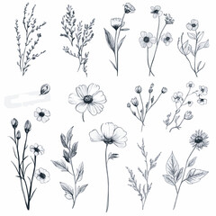 Elegant Wildflowers for Wedding Invites, Certificates, and Cards