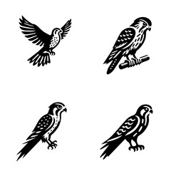 kestrel, icon, vector illustration, white background