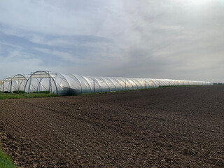 An expansive greenhouse structure made from plastic tunnels, stretching across a farm landscape. The foreground features freshly tilled soil, with a bright sky casting light on the scene.