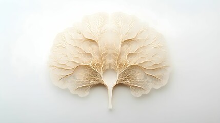 minimalistyczna, mózg, fraktale, symbolika myślenia, neuronowe, inteligencja, prostota, abstrakcyjne wzory, natura, delikatne barwy, świadomość, fraktalny wzór, umysł, koncepcja, skomplikowany, ilustr © Eliza