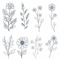 Wildflower Clippings for wedding invitation decoration, certificates, greeting cards
