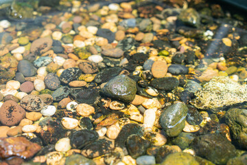 Pebbles placed in a basin to serve as a fish pond.