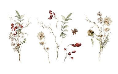 Watercolor bouquet and floral elements. Hand painted arrangement of dried forest leaves, flowers, branches, red berries, fir cone. Botanical composition for card design, print.