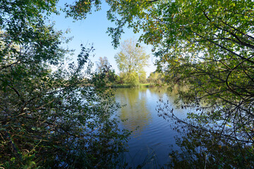 Episy ponds in the French Gâtinais Regional Nature Park