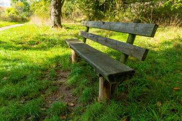 A wooden bench sits in a grassy field on a sunny day, near a path winding through the trees