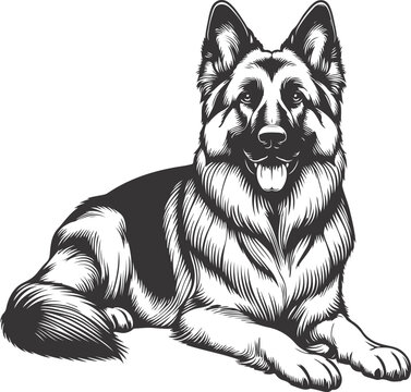 German Shepherd Dog Line art Contour vector illustration Continuous line drawing.