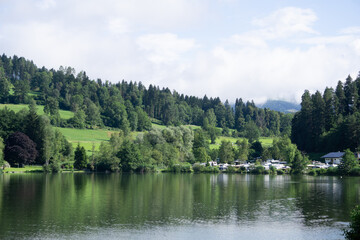 Charming countryside with a lake, green fields and a big pine forest under an overcast sky