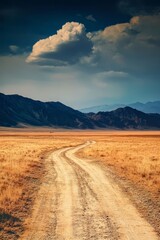 Naklejka premium road in the desert