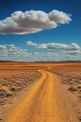 road in the desert