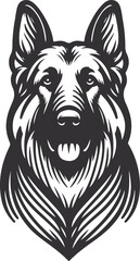 Obraz premium German shepherd dog in different poses on a white background objects silhouette illustration.