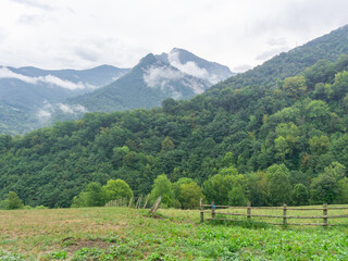 Mountain green landscape on a cloudy and misty day