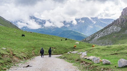 Fototapeta premium Two people hiking on a grassy and greenery mountain scenery with mountain peaks covered with clouds in the background