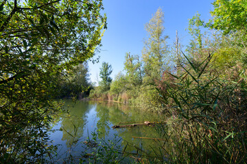 Episy ponds in the French Gâtinais Regional Nature Park