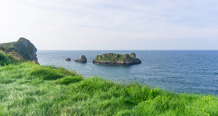 View of a coast line with high cliffs and green vegetation on a sunny dat