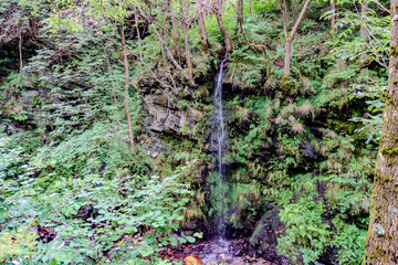 Fototapeta premium pequeña cascada de alta montaña
