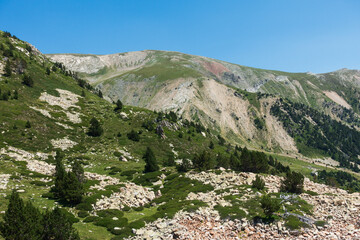 estación de esquí de vallter 2000 en verano sin gente
