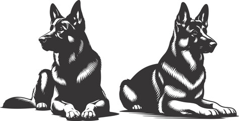 German shepherd dog in different poses on a white background objects silhouette illustration.