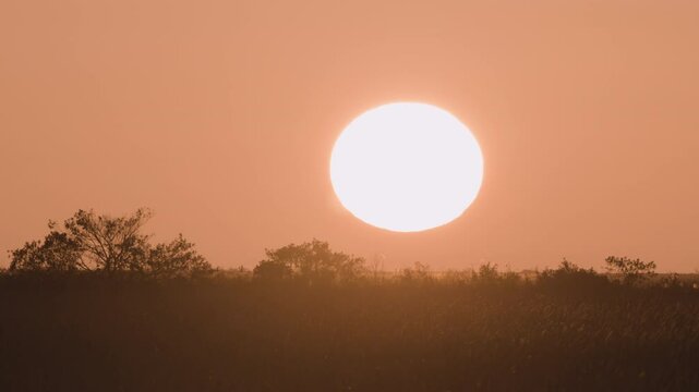 Last Minute of Everglades Sawgrass Landscape Sunset