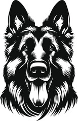 German shepherd dog in different poses on a white background objects silhouette illustration.