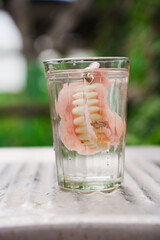 false jaw in a faceted glass of water.
