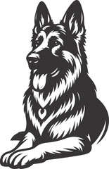 Fototapeta premium black and white dog