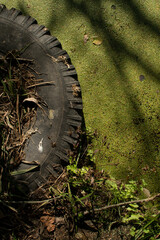 Old tire in dirty pond water	