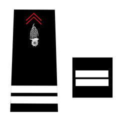 Galon de l'armée de terre française: Sapeur-Pompier du civil: Officier: Lieutenant