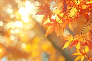 Fallen Leaves Season Background