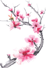 Realistic watercolor sakura blossom - Japanese cherry tree. Artistic branch sakura blossom. 