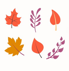 Obraz premium autumn leaves set illustration vector white background collection