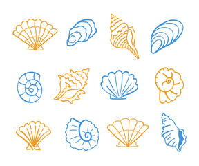 Sea Shell Collection Hand Drawn Doodle Seashells