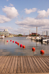 boats in the harbor