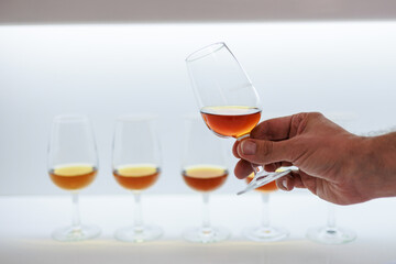 Cata de vinos de Jerez 