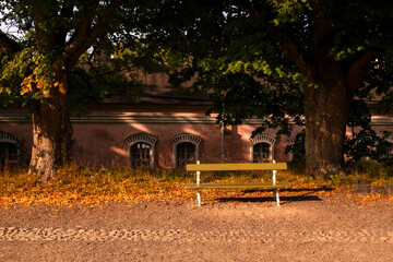 bench in the park