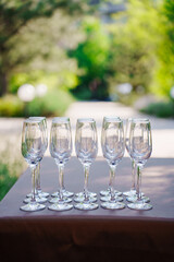 Empty wine glasses against the blurred background of the park. 