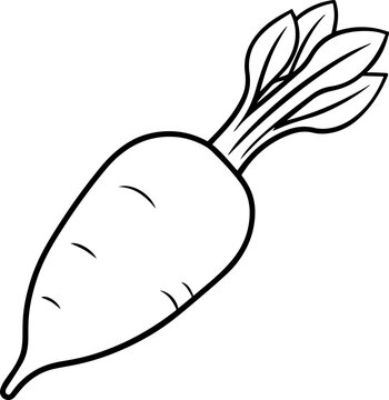 recommend clip art: daikon radish outline vector illustration