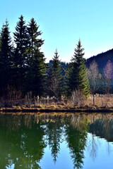 Nadelb&auml;ume spiegeln sich im Teichalmsee