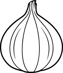 garlic line art vector illustration