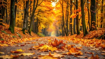 Fototapeta premium Forest path covered in autumn leaves
