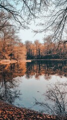 Obraz premium A tranquil lake reflecting autumn colors surrounded by trees, creating a serene nature scene perfect for relaxation and inspiration.