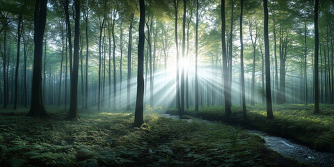 Fototapeta premium spring forest view. 